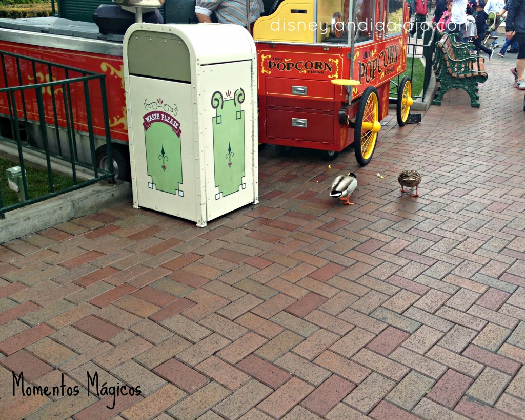 palomitas de maiz en disneylandia
