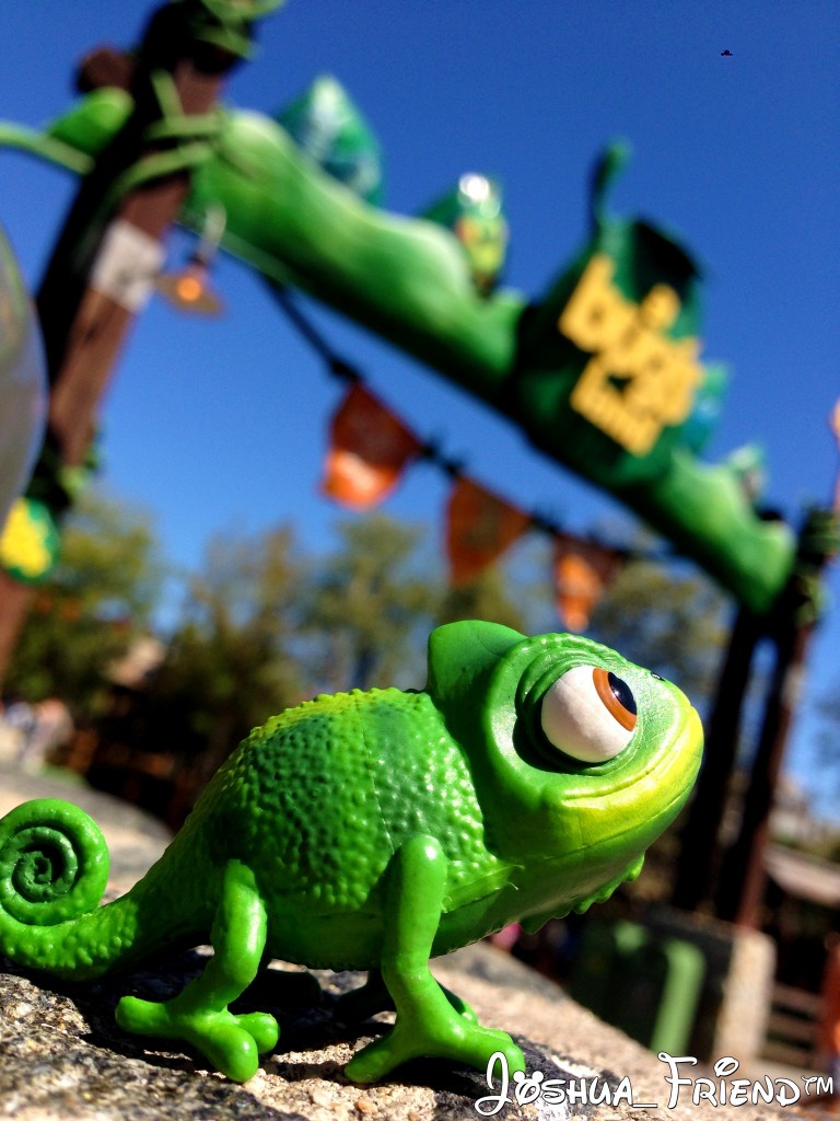 fotos de disneylandia