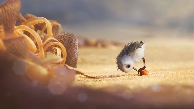 Escena de Piper el cortometraje de Pixar - disneylandiaaldia.com