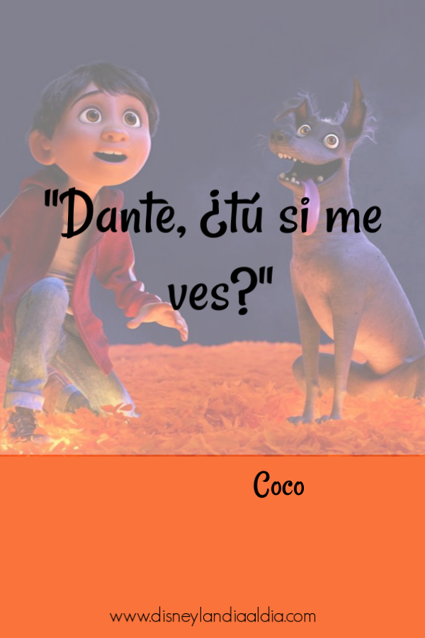 Frase de amistad de Coco